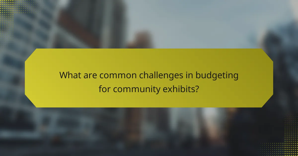 What are common challenges in budgeting for community exhibits?
