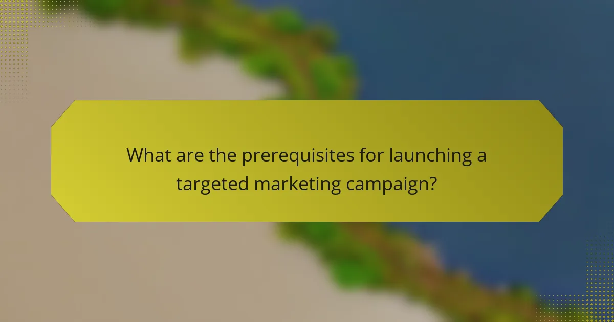 What are the prerequisites for launching a targeted marketing campaign?